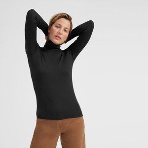 Everlane Pima Micro-Rib Turtleneck